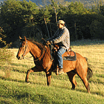 Reiturlaub und Reiterferien